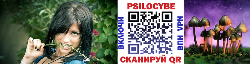 omg онион  Мглин  Псилоцибиновые грибы Psilocybe  наркота 